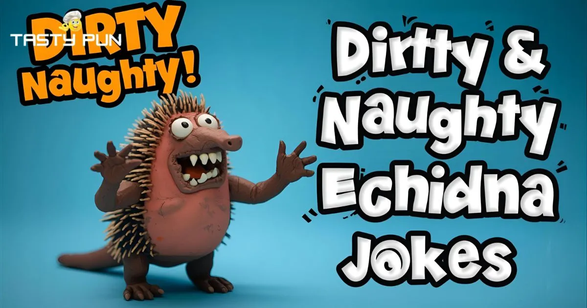 Dirty & Naughty Echidna Puns & Jokes