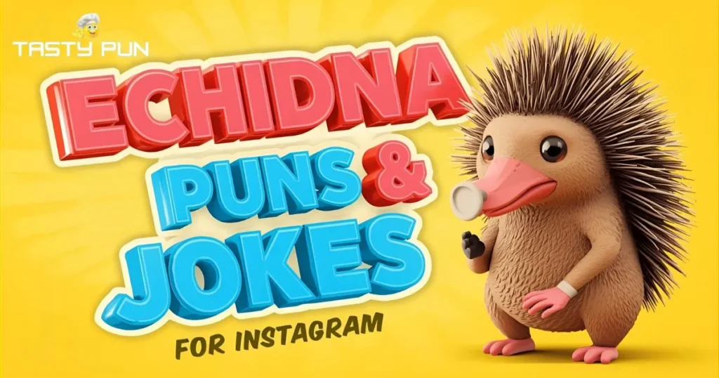 Echidna Puns & Jokes for Instagram