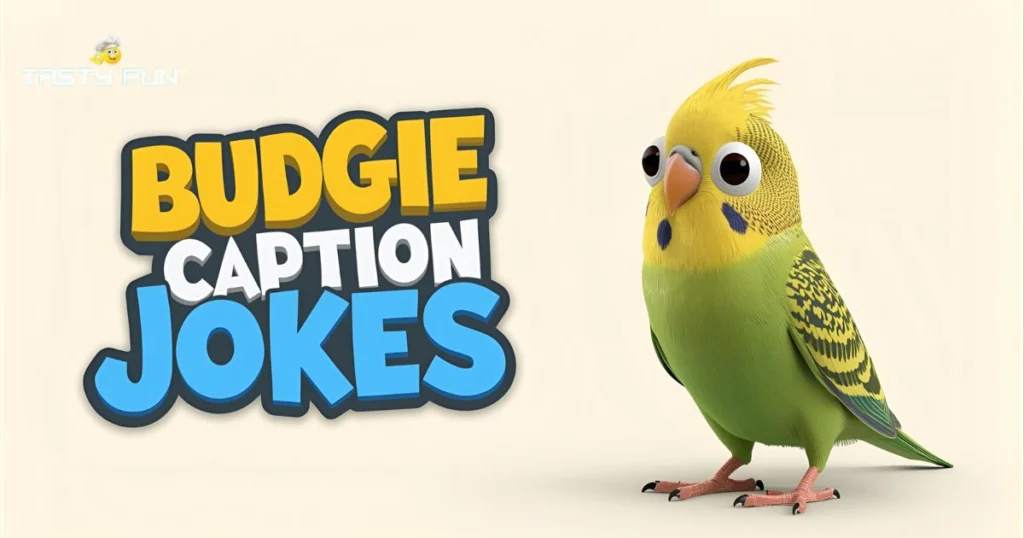 Budgie Caption Puns & Jokes