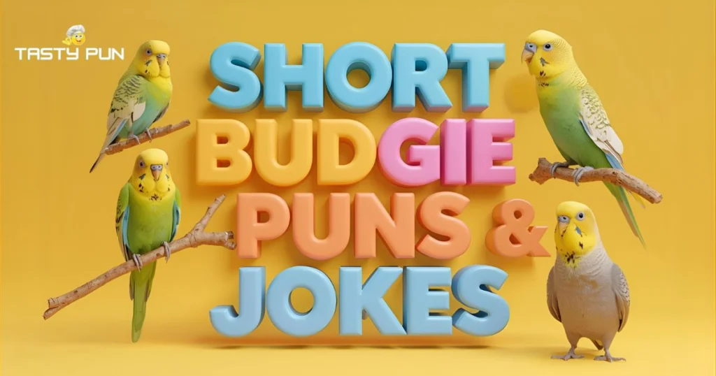 Short Budgie Puns & Jokes