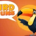 Bird Puns and Jokes