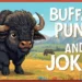 Buffalo Puns And Jokes