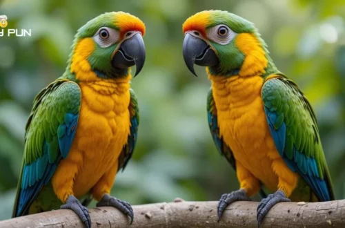 Parrot Puns & Jokes