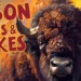 Bison Puns & Jokes