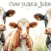 Cow Puns & Jokes