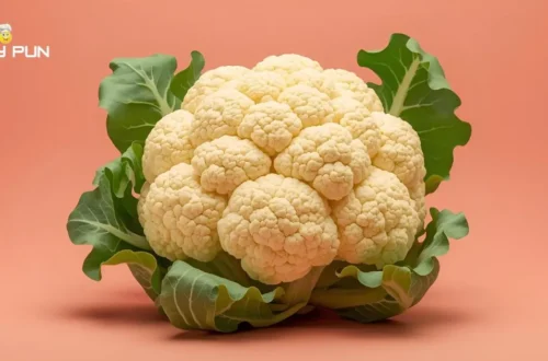 Cauliflower Puns & Jokes