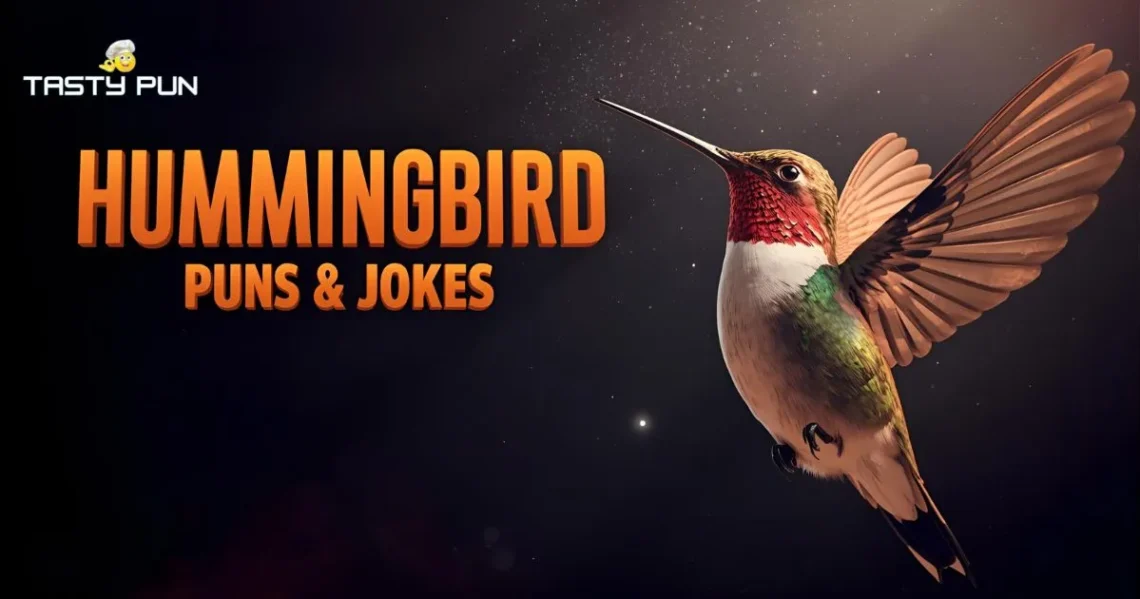 Hummingbird Puns & Jokes