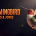 Hummingbird Puns & Jokes