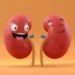 Kidney Puns
