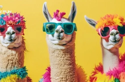 Llama Puns And Jokes