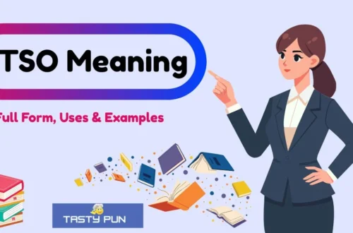 Ptso Meaning Explained