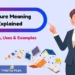 Demure Meaning Explained