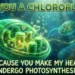 Chloroplast Pick Up Lines